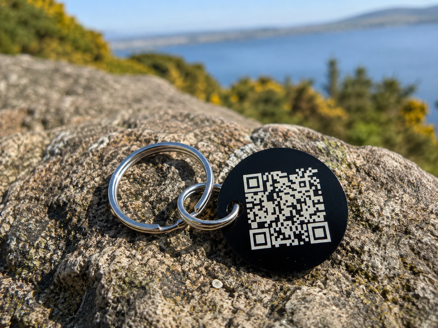 Black Eye In The Sky QR dog tag with split rings on a coastal rock